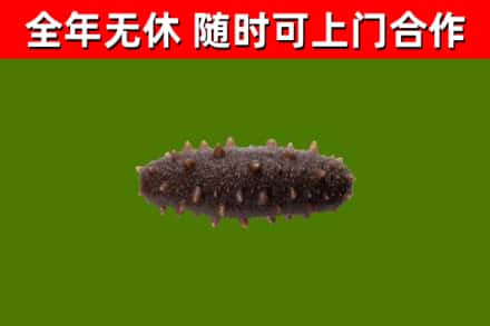 吴忠烟酒回收干海参.jpg